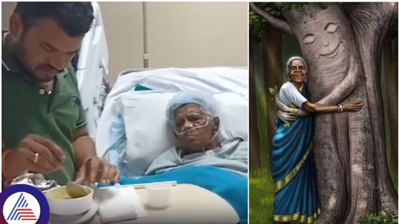 ಸಾಲು ಮರದ ತಿಮ್ಮಕ್ಕ ಆರೋಗ್ಯವಾಗಿದ್ದಾರೆ, ಊಹಾಪೋಹಗಳಿಗೆ ತೆರೆ ಎಳೆದ ದತ್ತುಪುತ್ರ ಉಮೇಶ್‌!