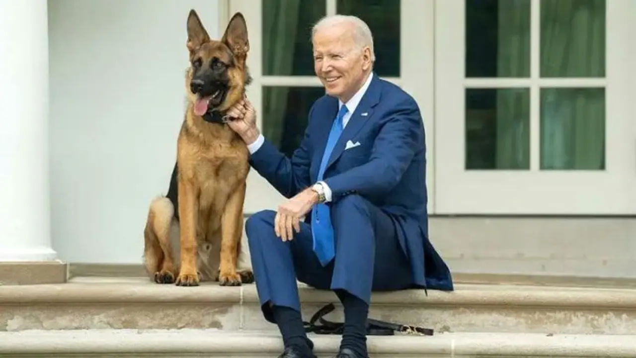 'My memory is fine; hasn't gotten worse...' US President Joe Biden fumes over special counsel's report (WATCH) 'My memory is fine; hasn't gotten worse...' US President Joe Biden fumes over special counsel's report (WATCH)