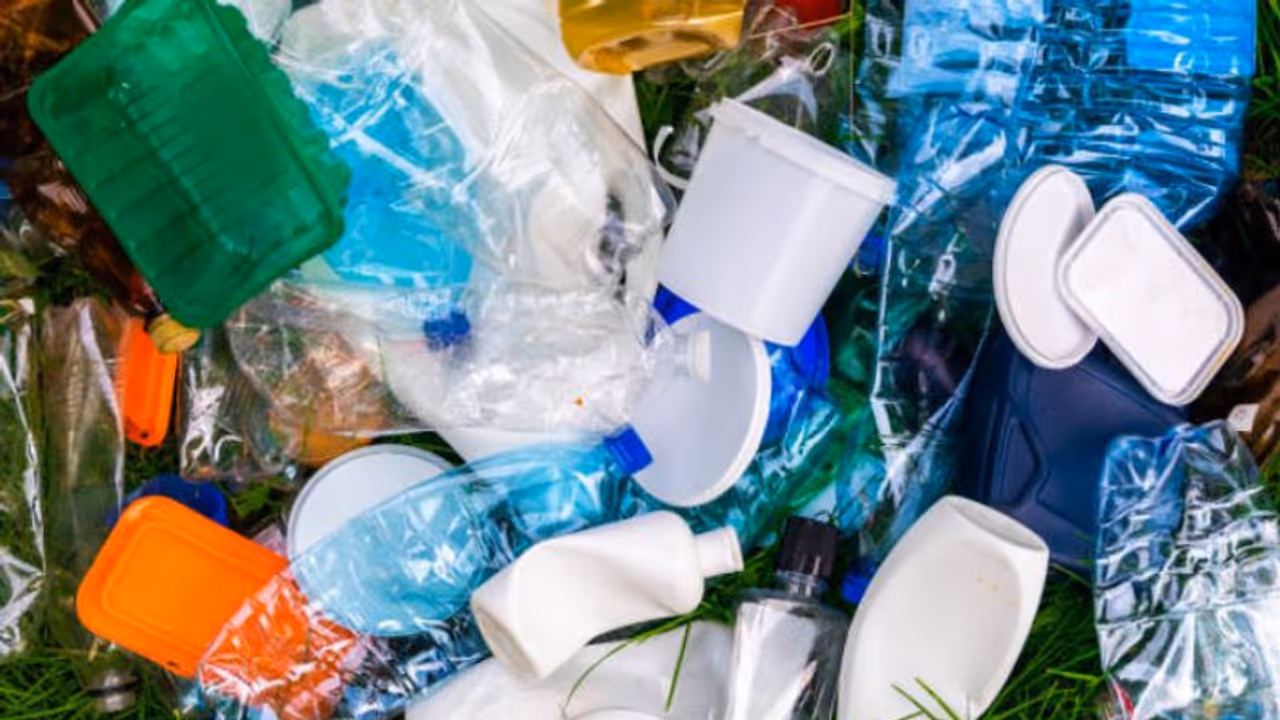 UAE: Plastic bags to be banned in THIS emirate from January 2024; Check