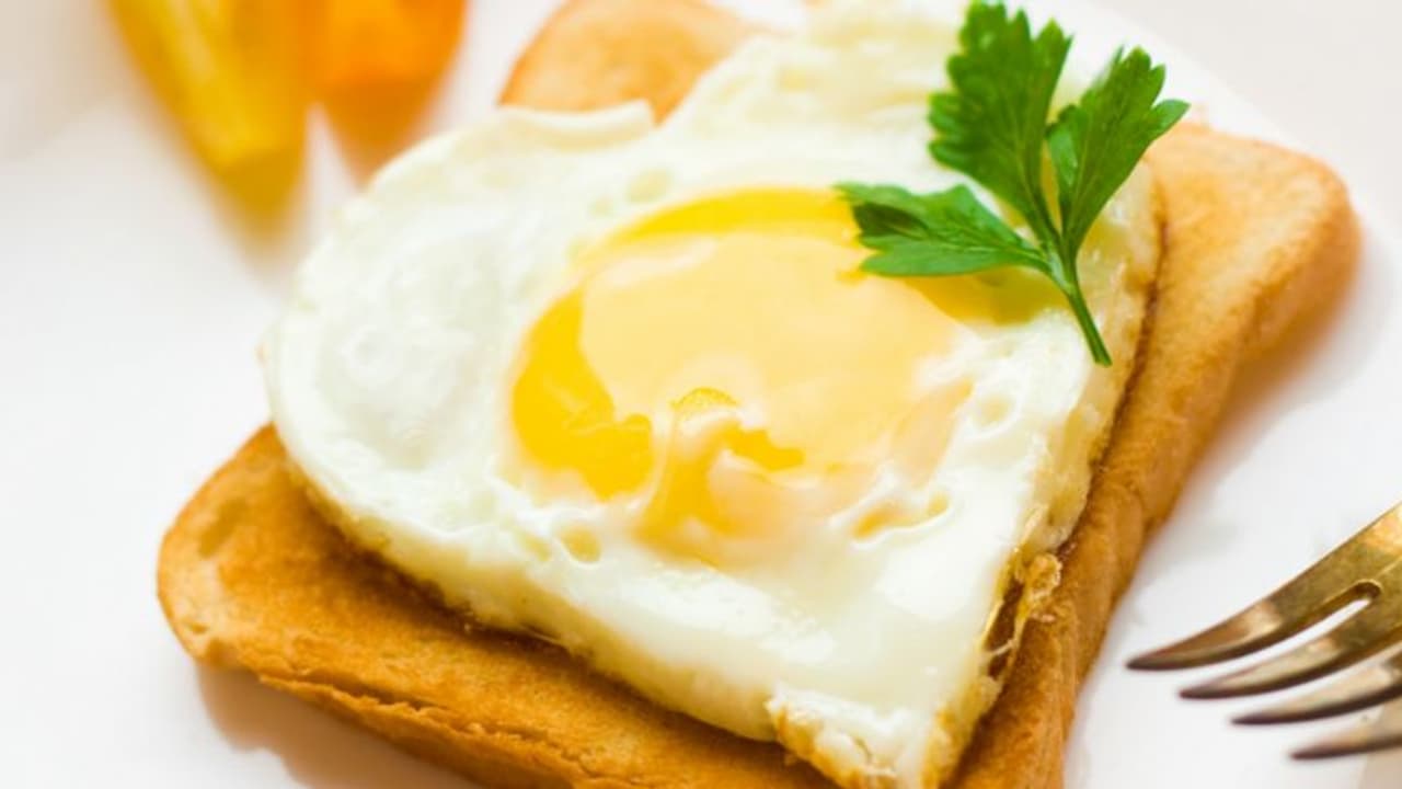 ദിവസവും രാവിലെ ഒരു മുട്ട വീതം കഴിക്കൂ; അറിയാം ഗുണങ്ങള്... ദിവസവും രാവിലെ ഒരു മുട്ട വീതം കഴിക്കൂ; അറിയാം ഗുണങ്ങള്...