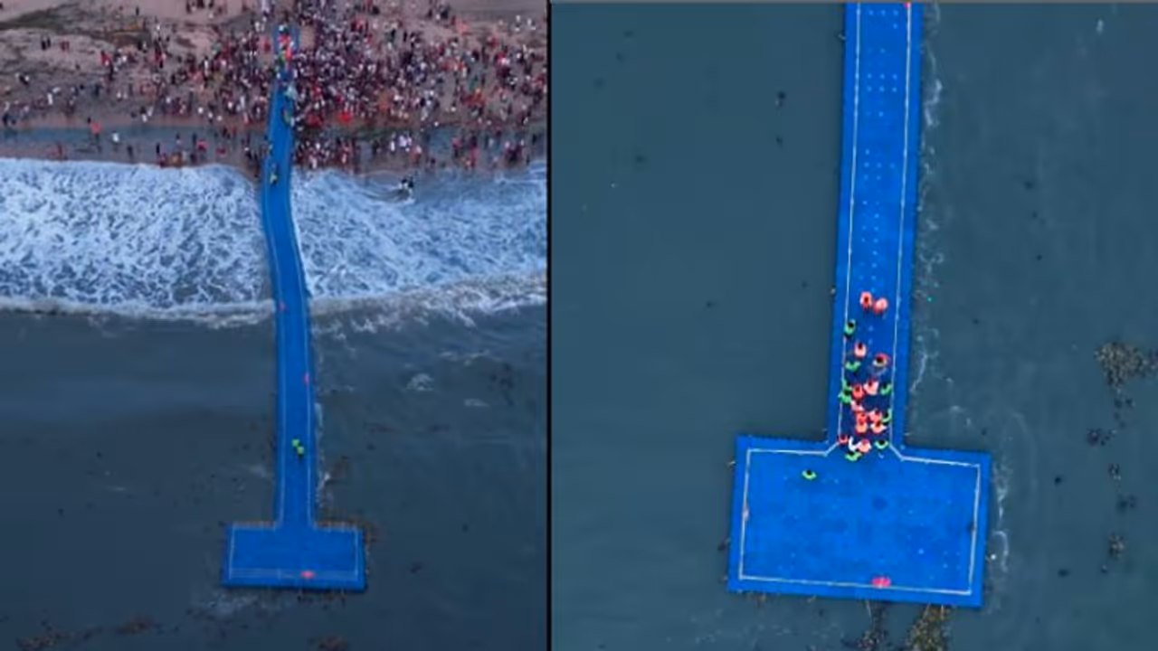 ഇത് കൊള്ളാല്ലോ സാധനം! ഫ്ലോട്ടിങ് ബ്രിഡ്ജിൽ അപ്രതീക്ഷിത അതിഥികൾ, വാരിക്കൂട്ടി കവറിലാക്കി സന്ദര്ശകർ, വീഡിയോ ഇത് കൊള്ളാല്ലോ സാധനം! ഫ്ലോട്ടിങ് ബ്രിഡ്ജിൽ അപ്രതീക്ഷിത അതിഥികൾ, വാരിക്കൂട്ടി കവറിലാക്കി സന്ദര്ശകർ, വീഡിയോ