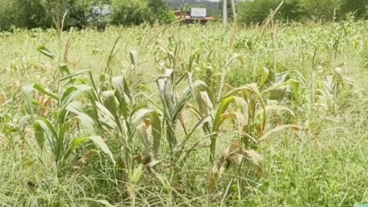  ರೈತರು ಕಡ್ಡಾಯ ಎಫ್.ಐ.ಡಿ ಮಾಡಿಸಿ: ಯಾವ ದಾಖಲೆಗಳು ಅಗತ್ಯ