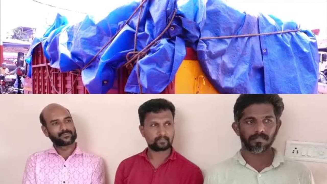 റേഷനരി കരിഞ്ചന്തയിലേക്ക്, ലോറിയില് കടത്തിയ 130 ചാക്ക് അരി പിടിച്ചെടുത്തു, മൂന്നു പേര് അറസ്റ്റില് റേഷനരി കരിഞ്ചന്തയിലേക്ക്, ലോറിയില് കടത്തിയ 130 ചാക്ക് അരി പിടിച്ചെടുത്തു, മൂന്നു പേര് അറസ്റ്റില്