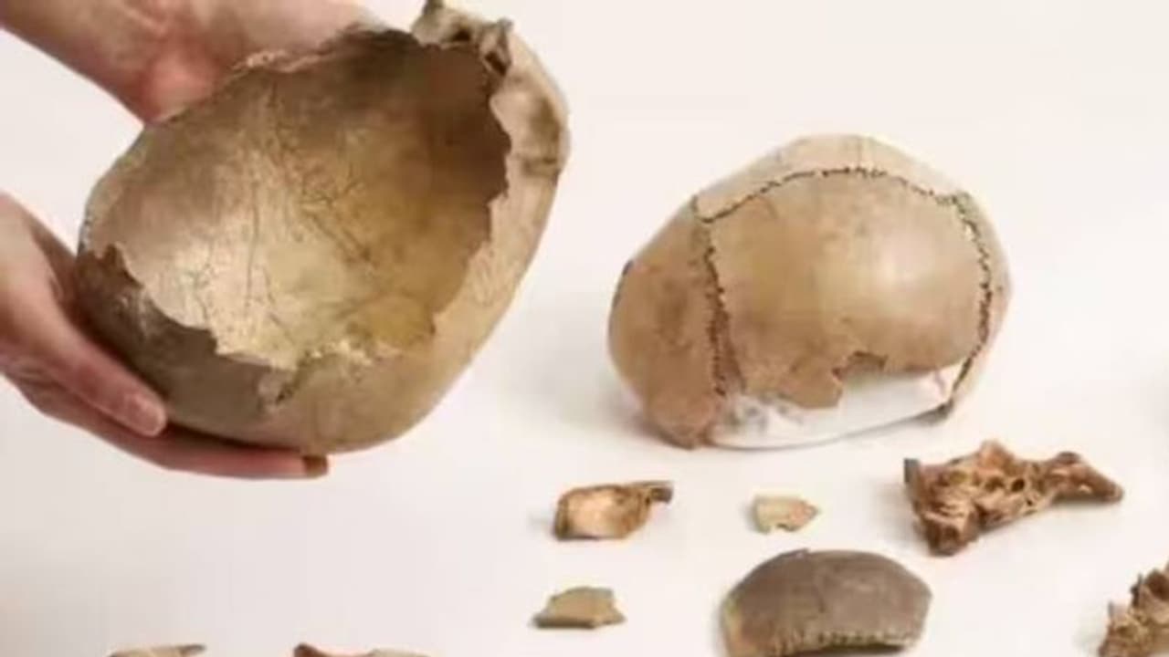 15000 വർഷങ്ങൾക്ക് മുമ്പ് മനുഷ്യർ മരിച്ച മനുഷ്യരെ ഭക്ഷണമാക്കിയിരുന്നിരിക്കാം എന്ന് പഠനം