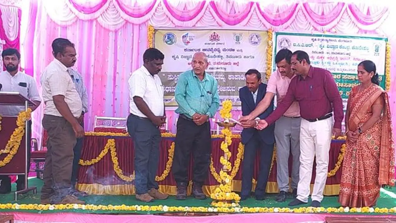 ಸಿರಿಧಾನ್ಯಗಳ ಬಳಕೆ ಸುಸ್ಥಿರ ಆಹಾರ ವ್ಯವಸ್ಥೆ ಸುಧಾರಣೆ ಸಿರಿಧಾನ್ಯಗಳ ಬಳಕೆ ಸುಸ್ಥಿರ ಆಹಾರ ವ್ಯವಸ್ಥೆ ಸುಧಾರಣೆ