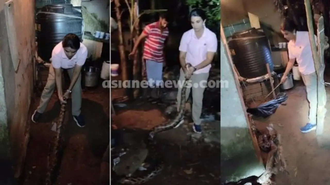 വീണ്ടും കൂറ്റൻ പെരുമ്പാമ്പിനെ വലിച്ചെടുത്ത് ചാക്കിലാക്കി വനിതാ ബീറ്റ് ഫോറസ്റ്റ് ഓഫീസർ റോഷ്‌നി