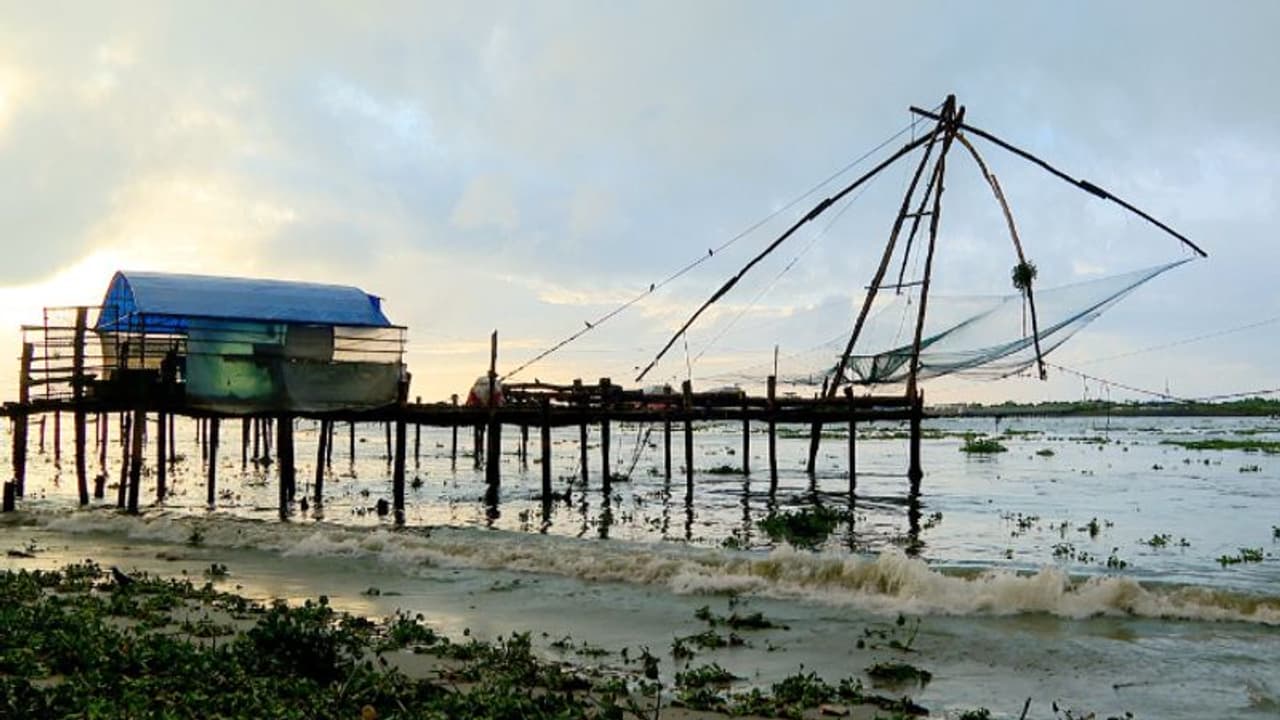'സർക്കാരിനെ വിശ്വസിച്ചു, ചീനവലകള് പുതുക്കിപ്പണിതു'; പണി കിട്ടിയത് മത്സ്യത്തൊഴിലാളികൾക്ക്, ഫലം കടക്കെണി... 'സർക്കാരിനെ വിശ്വസിച്ചു, ചീനവലകള് പുതുക്കിപ്പണിതു'; പണി കിട്ടിയത് മത്സ്യത്തൊഴിലാളികൾക്ക്, ഫലം കടക്കെണി...