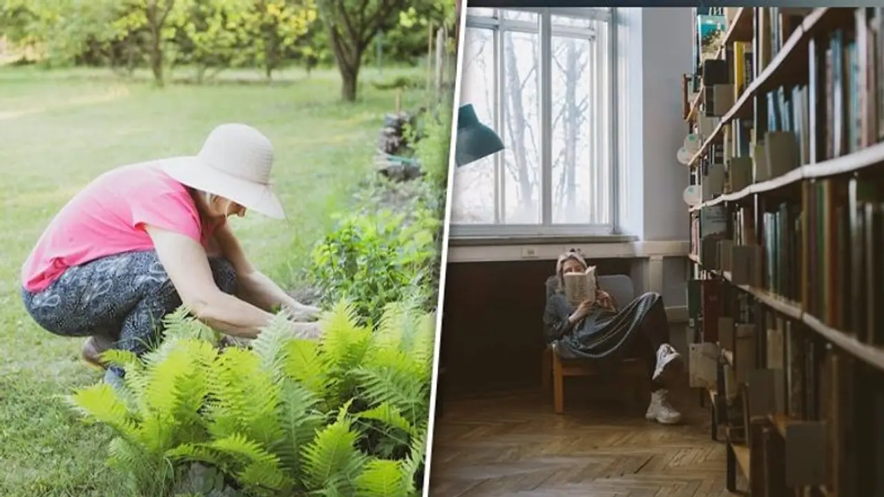 Reading retreat to Enbracing nature: 7 ways to enjoy a lazy sunday Reading retreat to Enbracing nature: 7 ways to enjoy a lazy sunday