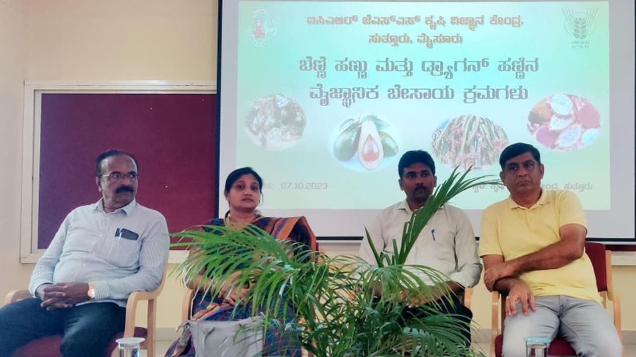 Mysuru : ಬೆಣ್ಣೆ ಹಣ್ಣು, ಡ್ರ್ಯಾಗನ್ ಹಣ್ಣಿನ ವೈಜ್ಞಾನಿಕ ಬೇಸಾಯದ ತರಬೇತಿ Mysuru : ಬೆಣ್ಣೆ ಹಣ್ಣು, ಡ್ರ್ಯಾಗನ್ ಹಣ್ಣಿನ ವೈಜ್ಞಾನಿಕ ಬೇಸಾಯದ ತರಬೇತಿ