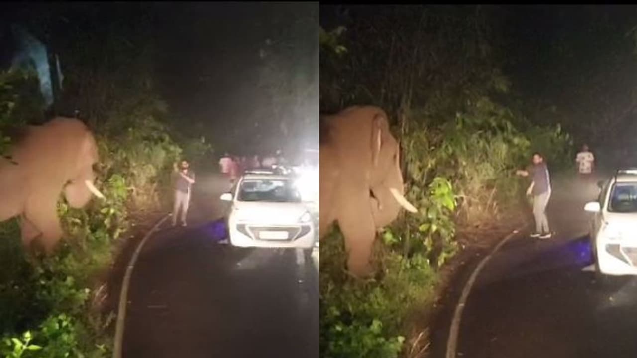 കലിപ്പിൽ റോഡിലിറങ്ങിയ 'കബാലി'യോട് പരാക്രമം കാട്ടിയ യുവാവിന് പണി കിട്ടി, സിസിടിവി കുടുക്കി, 10 ദിവസം റിമാൻഡിൽ