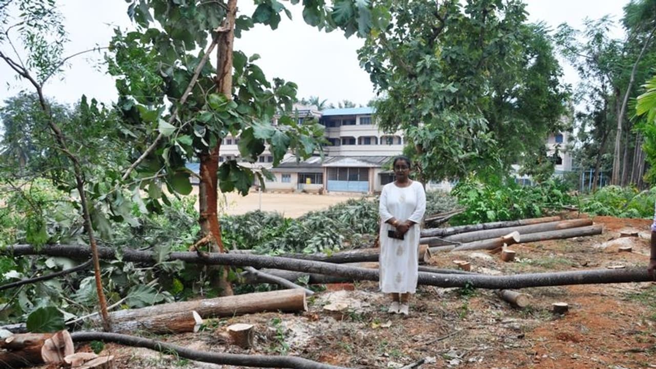 ಜಮೀನಿಗೆ ಖಾಸಗಿ ಶಿಕ್ಷಣ ಸಂಸ್ಥೆಯವರು ಅತಿಕ್ರಮ ಪ್ರವೇಶ, 70 ಮರ ಕಡಿದು ನಾಶ