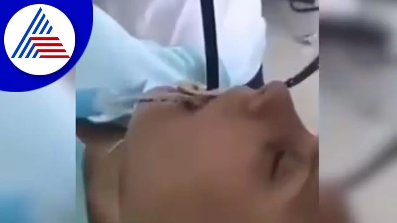 ಬಾಯಿ ಕಳ್ಕೊಂಡು ಮಲಗ್ಬೇಡಿ! ಹಾಗೆ ಮಲಗಿದಾಗ ಹಾವೇ ಬಾಯಿಯೊಳಗೆ ಹೋಗಿತ್ತಂತೆ! ಬಾಯಿ ಕಳ್ಕೊಂಡು ಮಲಗ್ಬೇಡಿ! ಹಾಗೆ ಮಲಗಿದಾಗ ಹಾವೇ ಬಾಯಿಯೊಳಗೆ ಹೋಗಿತ್ತಂತೆ!