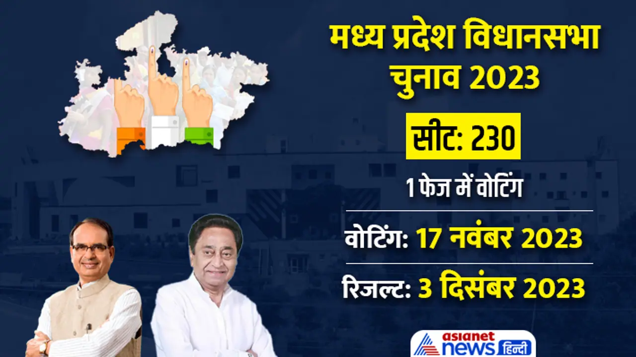election news