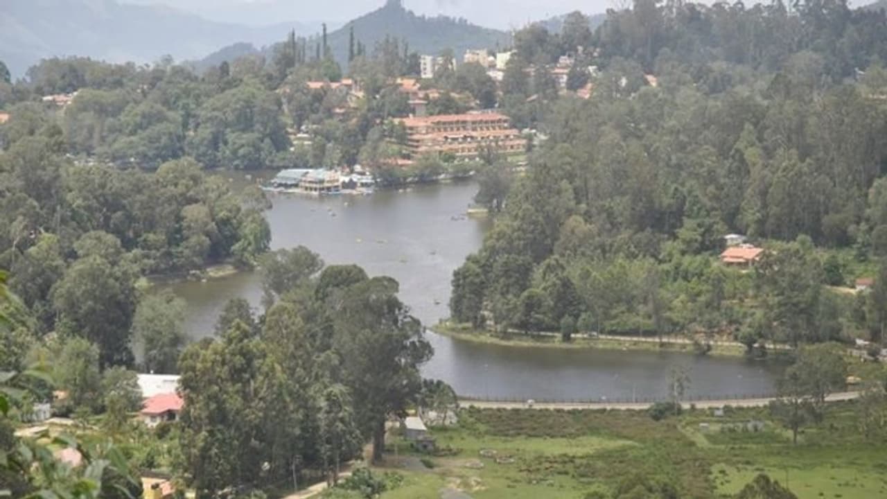 இஸ்ரேல் பாலஸ்தீனம் போர்: கொடைக்கானலுக்கு என்ன சம்பந்தம்? இஸ்ரேல் பாலஸ்தீனம் போர்: கொடைக்கானலுக்கு என்ன சம்பந்தம்?