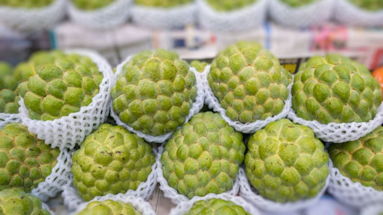 സീതപ്പഴം ഇഷ്ടമാണോ? കഴിക്കും മുമ്പറിയാം ഇക്കാര്യങ്ങള്... സീതപ്പഴം ഇഷ്ടമാണോ? കഴിക്കും മുമ്പറിയാം ഇക്കാര്യങ്ങള്...