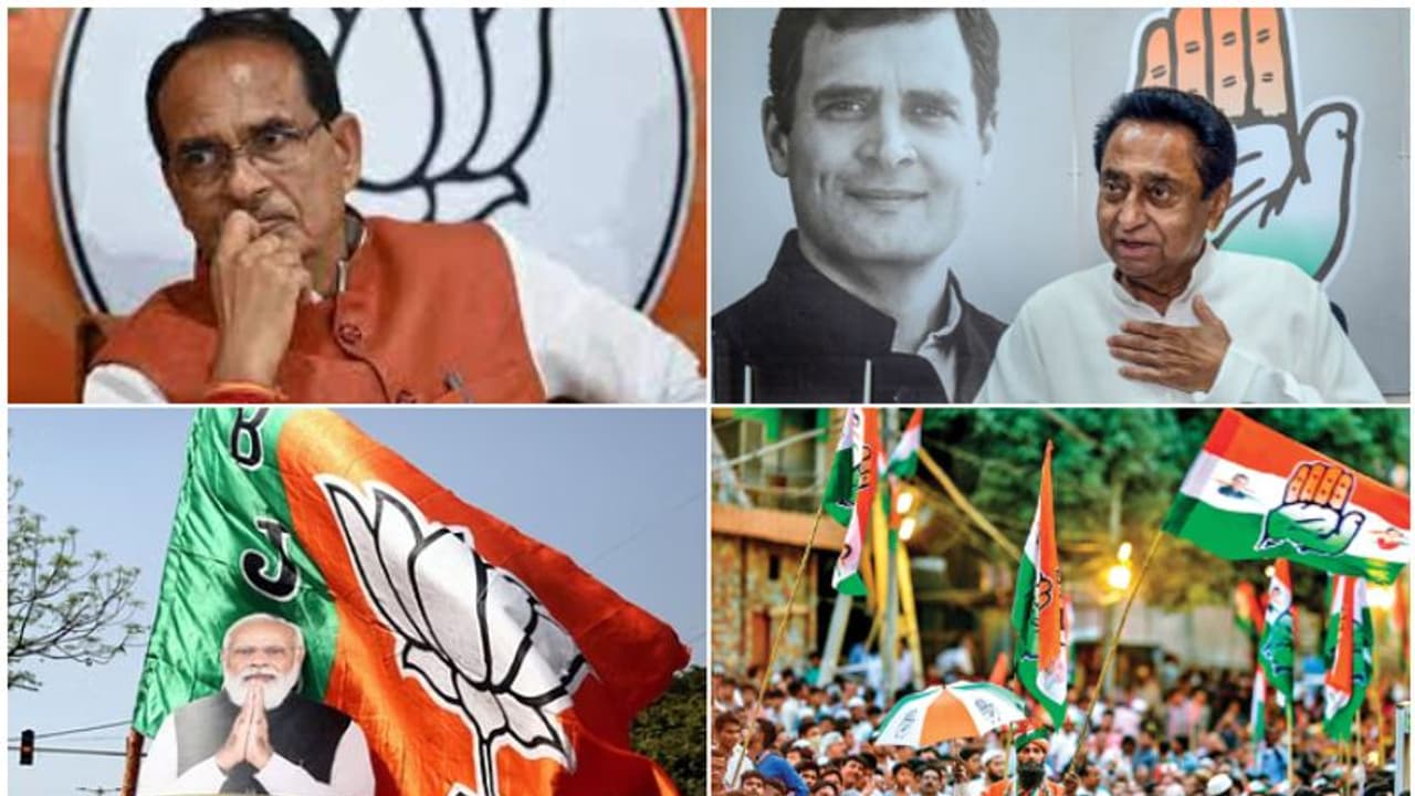 അഞ്ചിലങ്കം! ബിജെപിക്ക് കനത്ത തിരിച്ചടിയെന്ന് ആദ്യ സർവെ ഫലം, മധ്യപ്രദേശിൽ കോൺഗ്രസ് 125 സീറ്റുകൾ വരെ നേടിയേക്കാം അഞ്ചിലങ്കം! ബിജെപിക്ക് കനത്ത തിരിച്ചടിയെന്ന് ആദ്യ സർവെ ഫലം, മധ്യപ്രദേശിൽ കോൺഗ്രസ് 125 സീറ്റുകൾ വരെ നേടിയേക്കാം