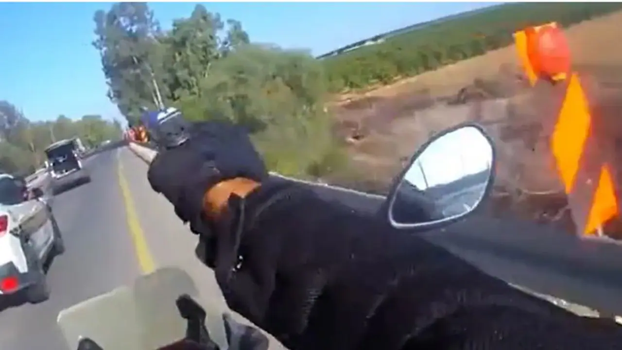 Dramatic! Israeli cop fires gun from moving bike in shootout with Hamas operatives amid war WATCH Dramatic! Israeli cop fires gun from moving bike in shootout with Hamas operatives amid war WATCH