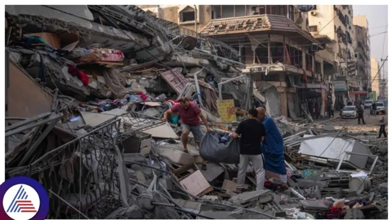 Wheat, sugar and pasta: Russia's 27 tonne humanitarian aid to Gaza amid Israel Hamas war Wheat, sugar and pasta: Russia's 27 tonne humanitarian aid to Gaza amid Israel Hamas war