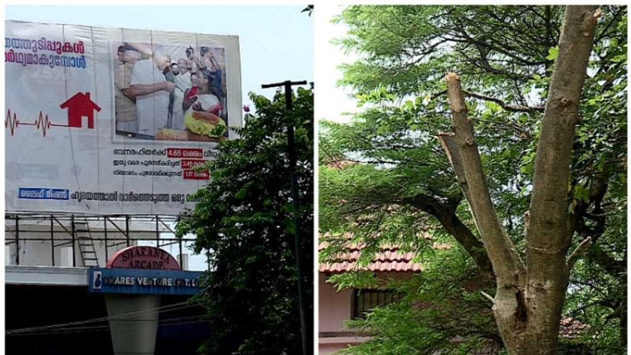 സ്കൂൾ കോമ്പൗണ്ടിൽ അതിക്രമിച്ച് കയറി മരക്കൊമ്പ് വെട്ടി; പ്രധാനാധ്യാപകന്റെ പരാതിയിൽ കേസ് 