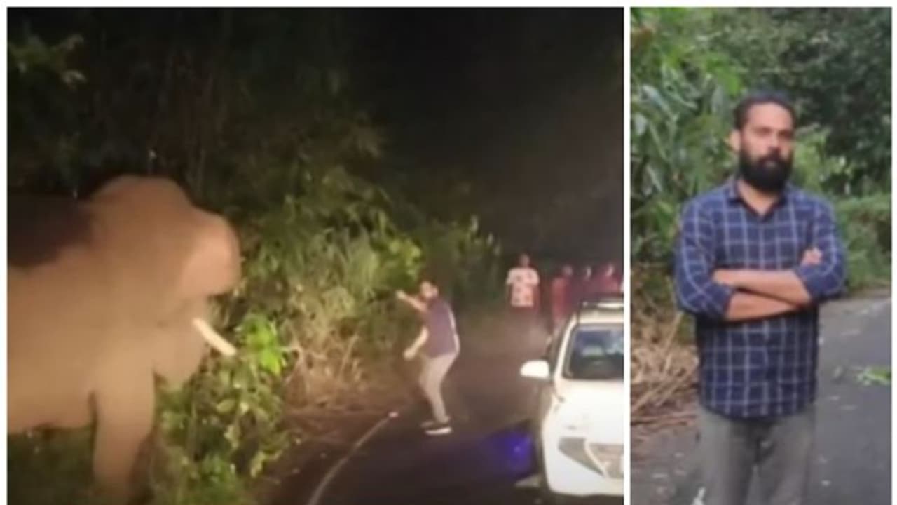 കബാലിയെ പ്രകോപിപ്പിച്ച് യുവാവ്, ആന പാഞ്ഞടുത്തപ്പോള് ഓടി മാറി; അതിരപ്പള്ളിയിലെ സാഹസത്തിന് ഒടുവില് ജയിലിലായി കബാലിയെ പ്രകോപിപ്പിച്ച് യുവാവ്, ആന പാഞ്ഞടുത്തപ്പോള് ഓടി മാറി; അതിരപ്പള്ളിയിലെ സാഹസത്തിന് ഒടുവില് ജയിലിലായി