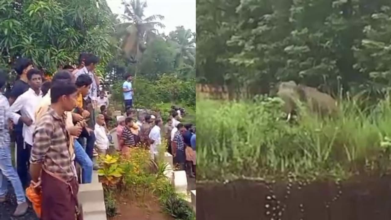 കണ്ണൂര്‍ ഉളിക്കലില്‍ കാട്ടാനയിറങ്ങി; ജാഗ്രതാ നിര്‍ദേശം, സ്കൂളുകള്‍ക്ക് അവധി