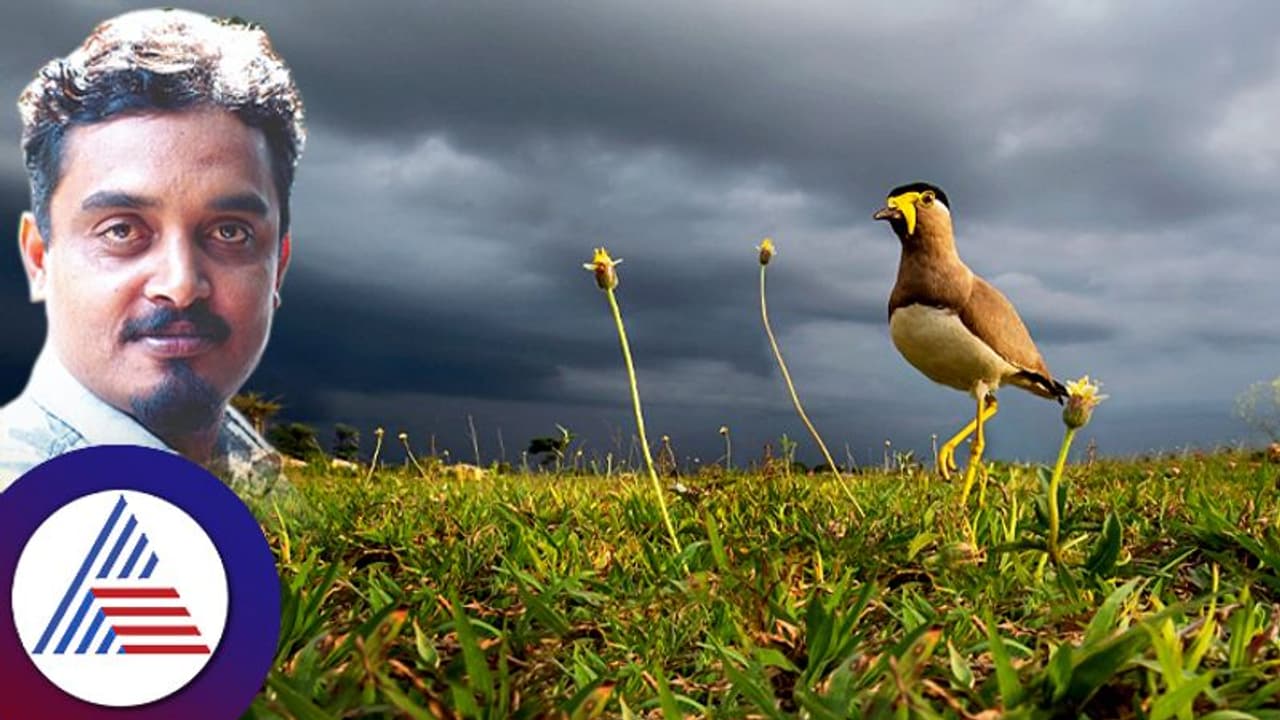 ವಿದೇಶಗಳಿಗೆ ಹಾರಿದ ಕನ್ನಡ 'ನೆಲದ ಹಕ್ಕಿಯ ಹಾಡು' ಸಾಕ್ಷ್ಯಚಿತ್ರ ವಿದೇಶಗಳಿಗೆ ಹಾರಿದ ಕನ್ನಡ 'ನೆಲದ ಹಕ್ಕಿಯ ಹಾಡು' ಸಾಕ್ಷ್ಯಚಿತ್ರ