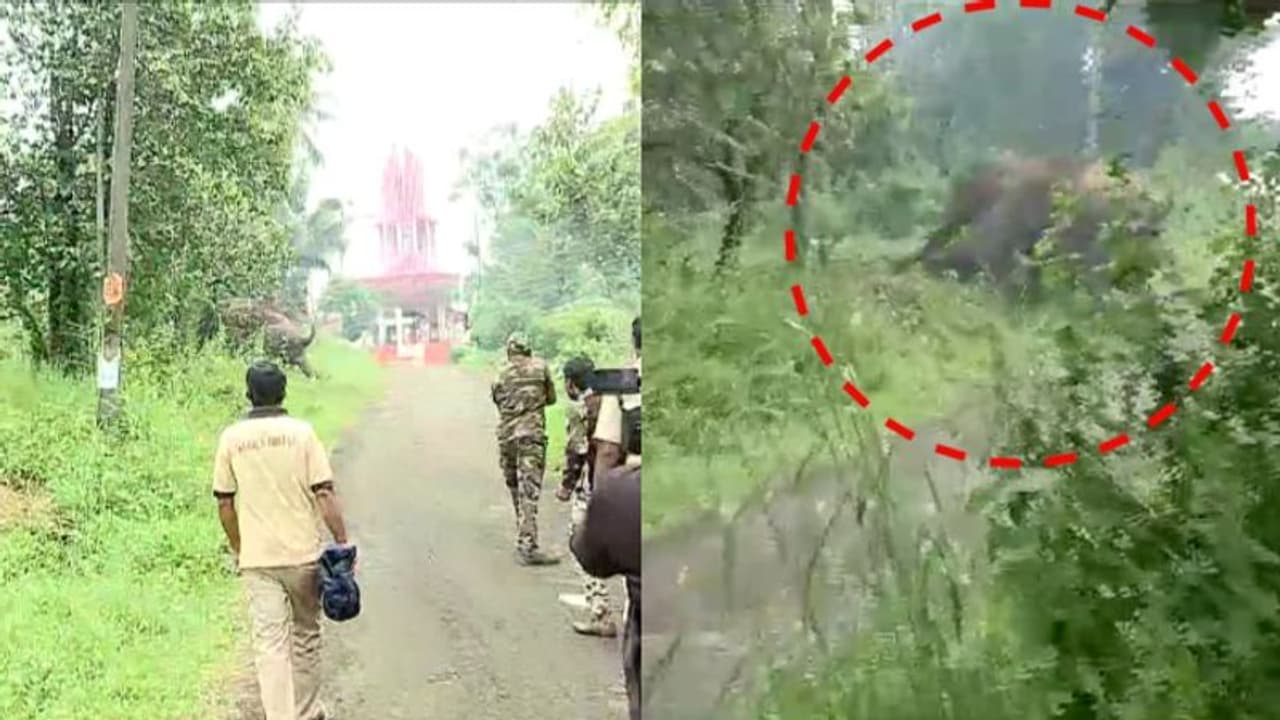 ഉളിക്കലിനെ വിറപ്പിച്ച് കാട്ടാന, പടക്കം പൊട്ടിച്ച് തുരത്താന് ശ്രമം, ഭയന്നോടിയ നിരവധിപേര്ക്ക് പരിക്ക് ഉളിക്കലിനെ വിറപ്പിച്ച് കാട്ടാന, പടക്കം പൊട്ടിച്ച് തുരത്താന് ശ്രമം, ഭയന്നോടിയ നിരവധിപേര്ക്ക് പരിക്ക്