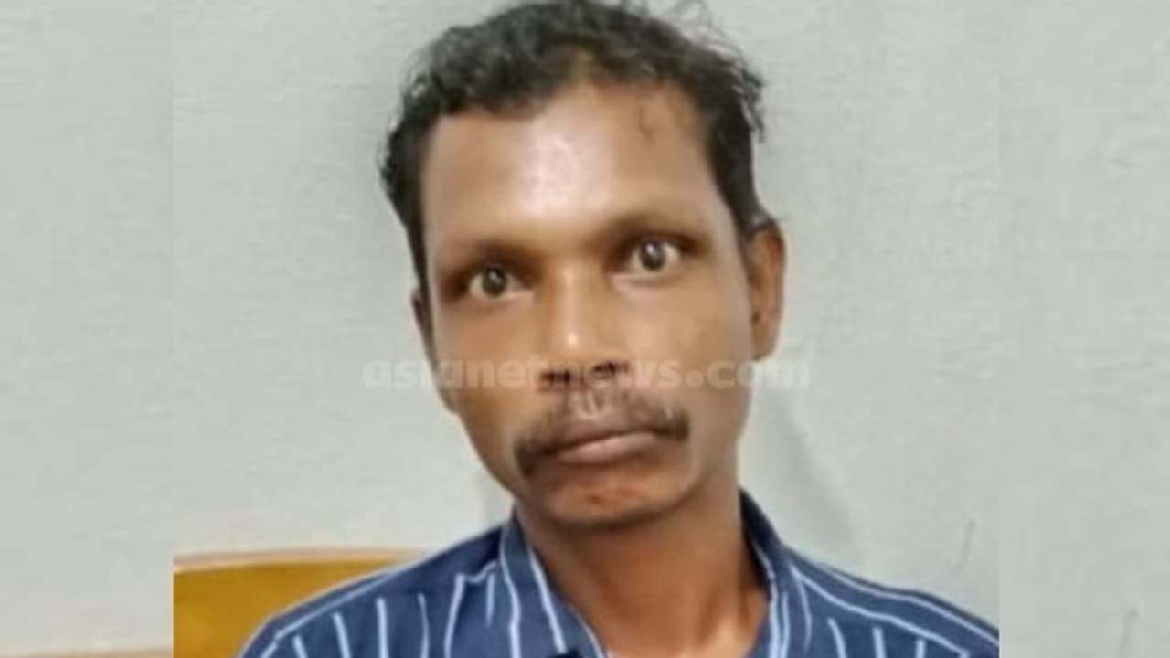 മൂന്നര വയസുകാരിയെ ലൈംഗികമായി പീഡിപ്പിച്ച പ്രതിക്ക് 100 വർഷം കഠിനതടവ് ശിക്ഷ