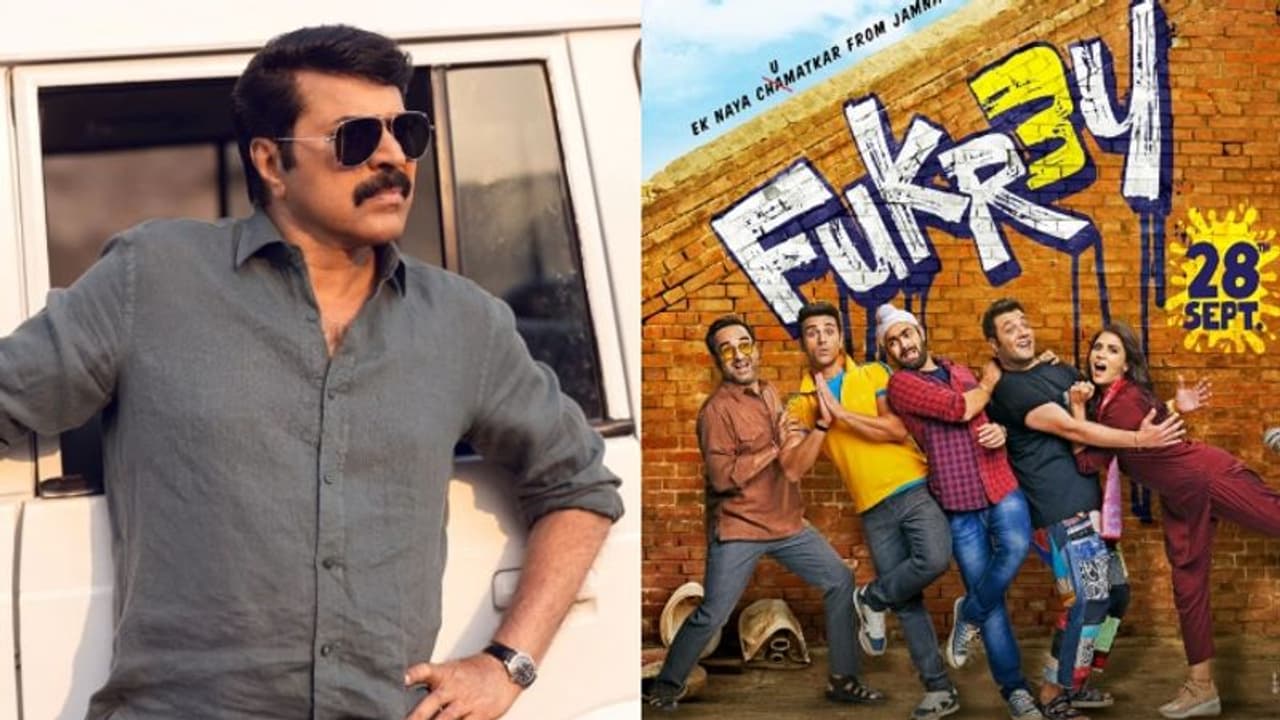 'കണ്ണൂര്‍ സ്ക്വാഡി'ന്‍റെ അതേദിവസം റിലീസ്, ബജറ്റിലും സമാനത; ബോളിവുഡ് ചിത്രം 'ഫുക്രെ 3' ഇതുവരെ നേടിയത്