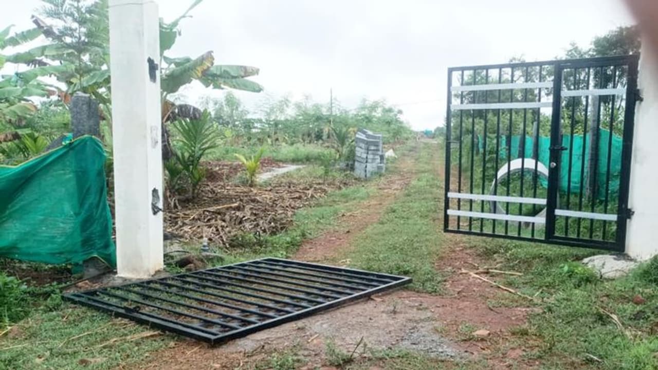 Mysuru : ಆನೆ ದಾಳಿ : 8 ಎಕರೆ ಬಾಳೆ ನಾಶ ಆನೆಗಳ ದಾಳಿಯಿಂದ ಸಂಕಷ್ಟಕ್ಕೀಡಾಗಿರುವ ರೈತರು Mysuru : ಆನೆ ದಾಳಿ : 8 ಎಕರೆ ಬಾಳೆ ನಾಶ ಆನೆಗಳ ದಾಳಿಯಿಂದ ಸಂಕಷ್ಟಕ್ಕೀಡಾಗಿರುವ ರೈತರು