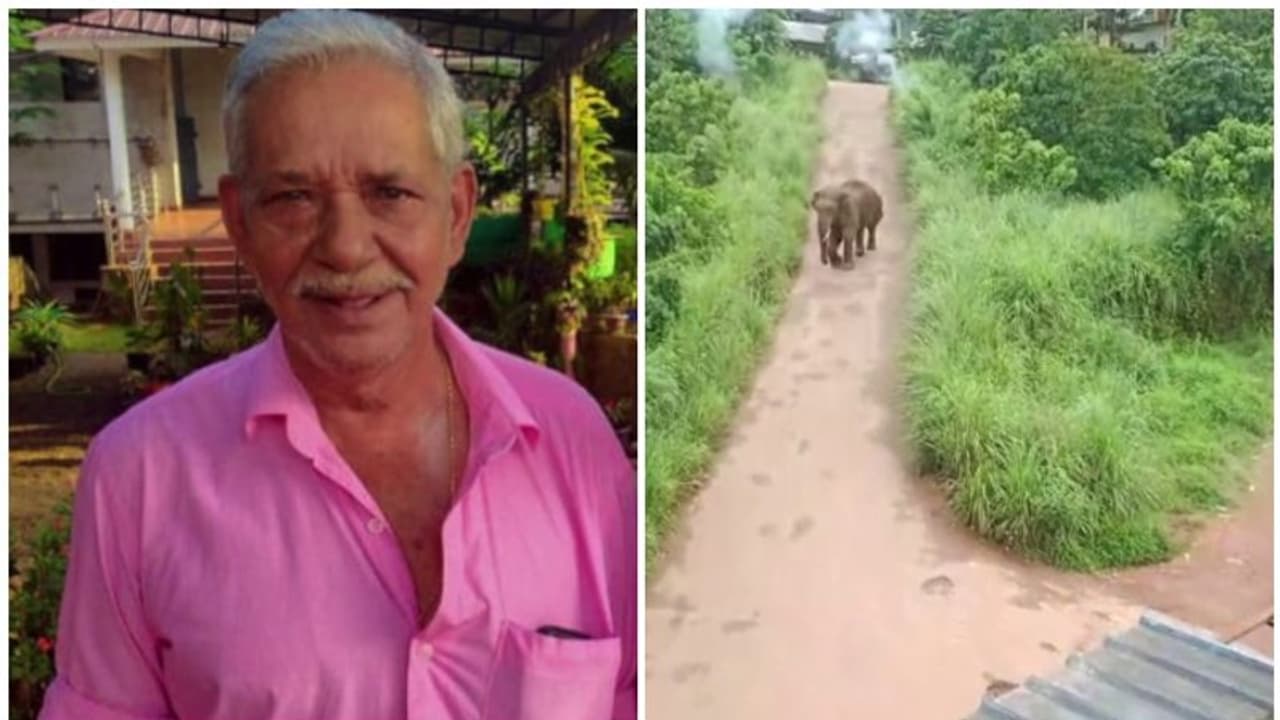 ജോസിന്റെ മരണം ആനയുടെ ചവിട്ടേറ്റ് തന്നെ; സ്ഥിരീകരിച്ച് പോസ്റ്റുമോര്‍ട്ടം റിപ്പോര്‍ട്ട്