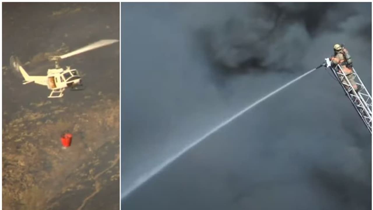 ഇപ്പോൾ കൊമ്പുകോർക്കുന്ന ഇതേ ഇസ്രയേലും പലസ്തീനും; ഒന്നിച്ച് ഒന്നായി ഒരു ലക്ഷ്യത്തോടെ കൈകോർത്ത ചരിത്രം!