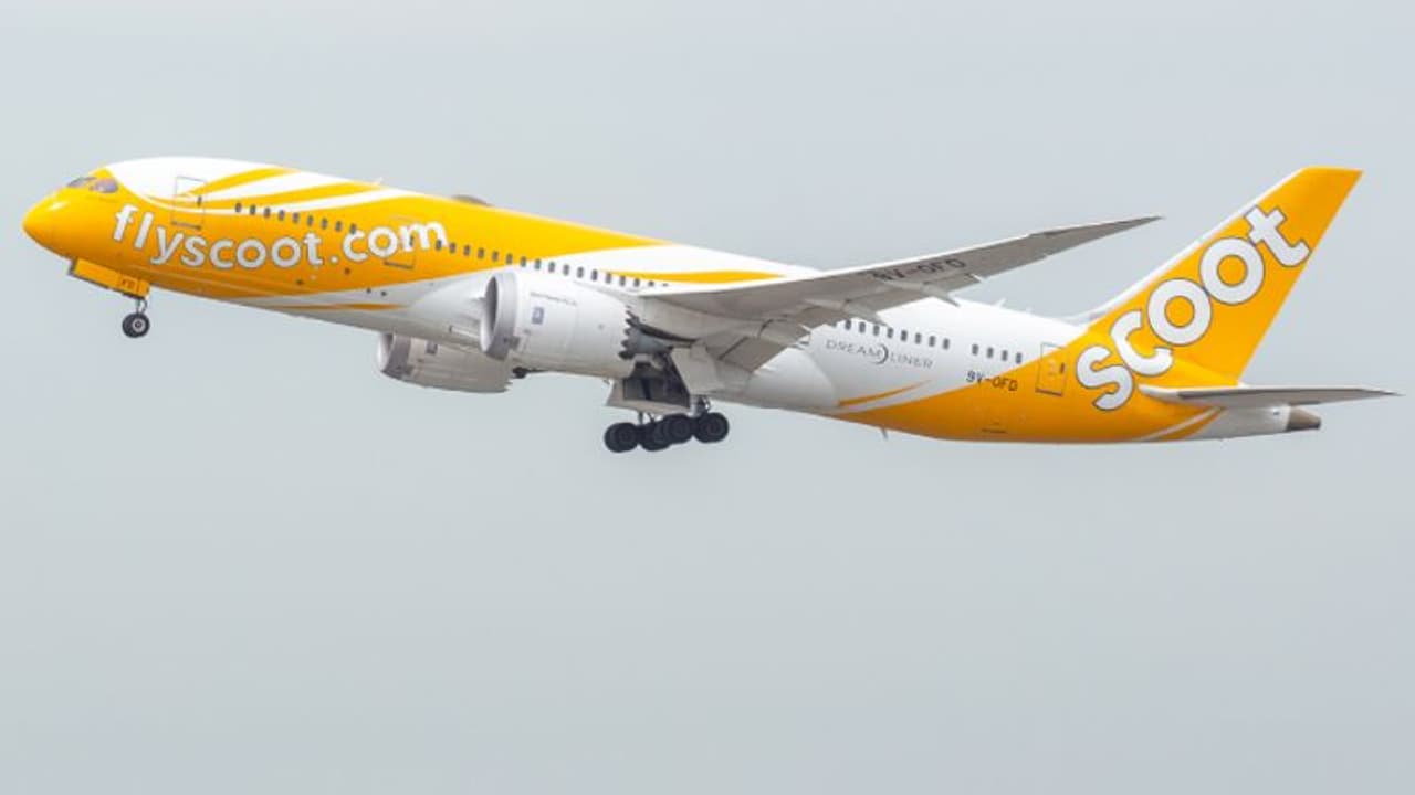 ஆஸ்திரேலியா சென்ற Scoot விமானம்.. நடுவானில் வெடிகுண்டு மிரட்டல் சட்டென செயல்பட்ட சிங்கப்பூர் அதிகாரிகள்! ஆஸ்திரேலியா சென்ற Scoot விமானம்.. நடுவானில் வெடிகுண்டு மிரட்டல் சட்டென செயல்பட்ட சிங்கப்பூர் அதிகாரிகள்!