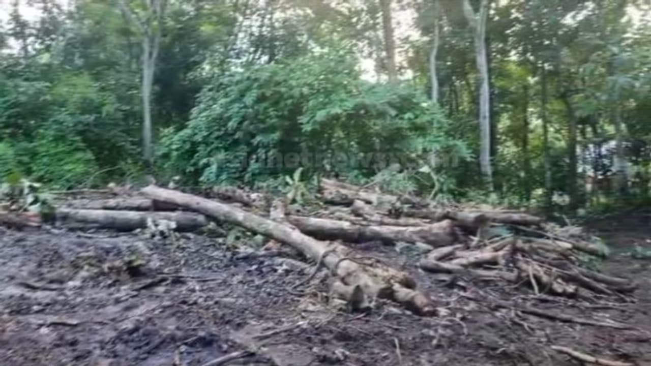പട്ടയ ഭൂമിയിൽ നിന്ന് 78 തേക്ക് മരങ്ങൾ മുറിച്ചുമാറ്റി; സ്ഥലമുടമക്കെതിരെ വനം വകുപ്പ് കേസെടുത്തു