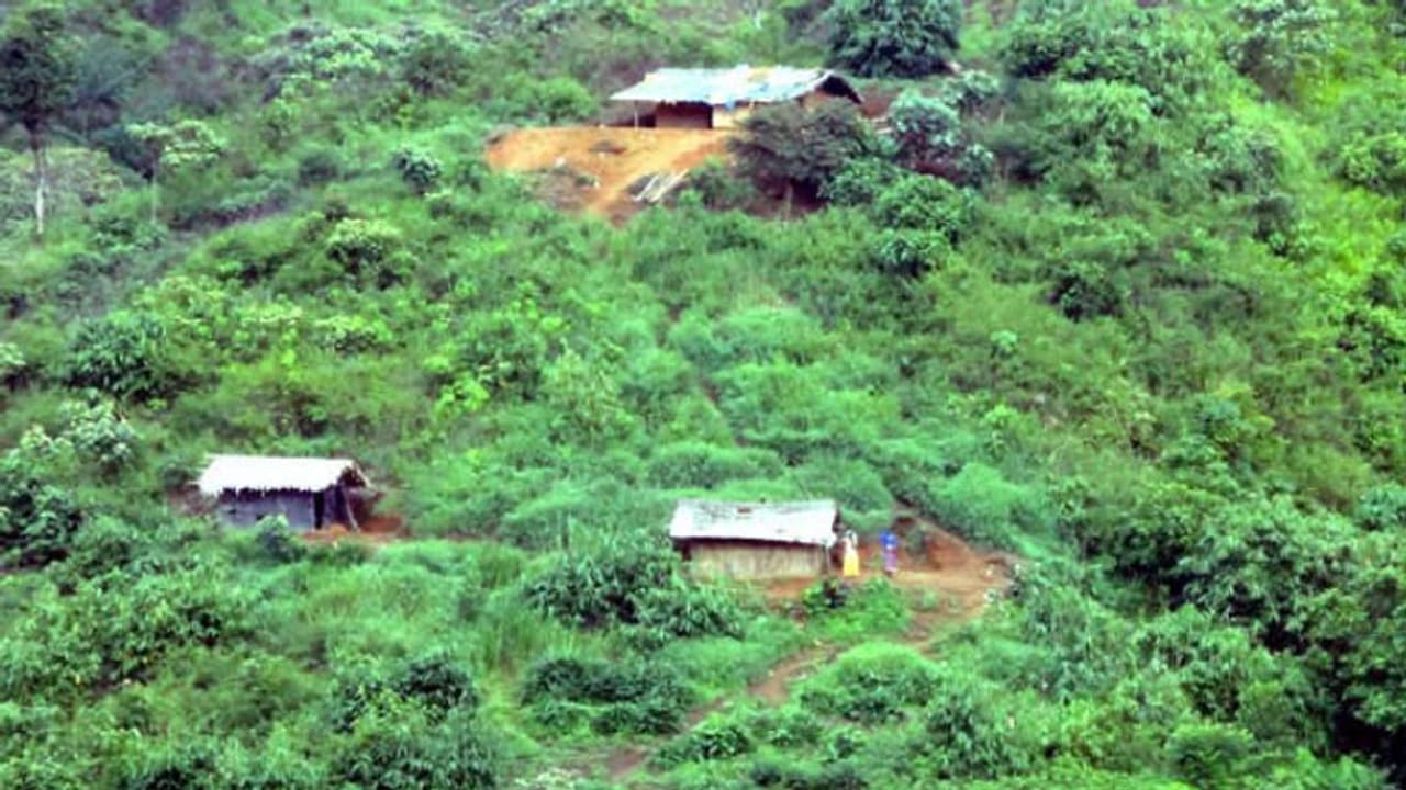 'കുരുമുളകും ഏലവും ബ്രാന്ഡ് ചെയ്യും'; ഇടമലക്കുടിയിലെ നൂറു കുടുംബങ്ങള്ക്ക് ഉപജീവനമൊരുക്കാന് കുടുംബശ്രീ 'കുരുമുളകും ഏലവും ബ്രാന്ഡ് ചെയ്യും'; ഇടമലക്കുടിയിലെ നൂറു കുടുംബങ്ങള്ക്ക് ഉപജീവനമൊരുക്കാന് കുടുംബശ്രീ