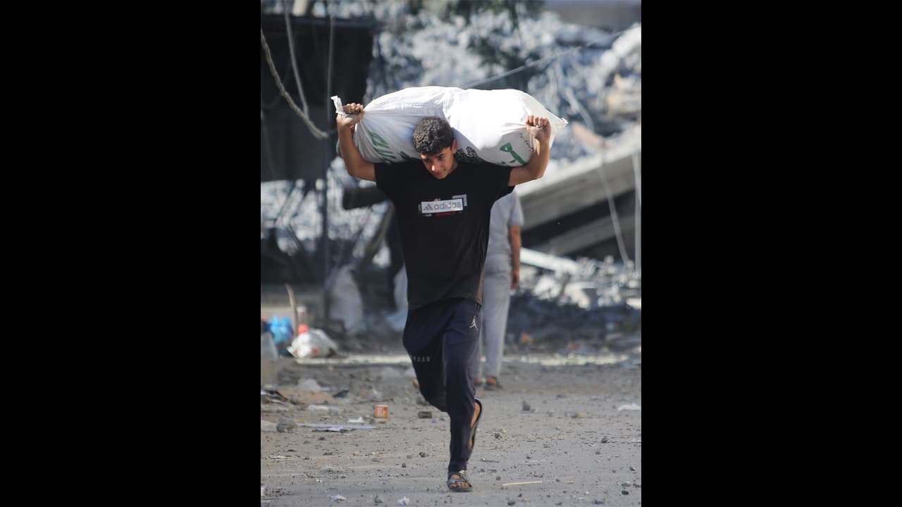 മാനുഷിക ദുരന്തം ഒഴിവാക്കാന് മുന്ഗണന; ഗാസയില് വെടിനിര്ത്തല് ആവശ്യപ്പെട്ട് സൗദി, മാനുഷിക ദുരന്തം ഒഴിവാക്കാന് മുന്ഗണന; ഗാസയില് വെടിനിര്ത്തല് ആവശ്യപ്പെട്ട് സൗദി,