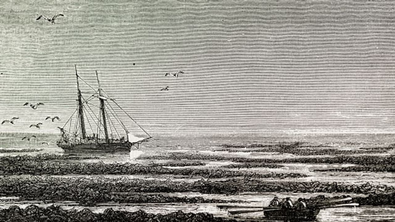 റോഡ് നിര്മ്മാണത്തിനിടെ കുഴിയെടുത്തപ്പോള് കണ്ടത് 1800 കളിലെ ബോട്ട് ! റോഡ് നിര്മ്മാണത്തിനിടെ കുഴിയെടുത്തപ്പോള് കണ്ടത് 1800 കളിലെ ബോട്ട് !