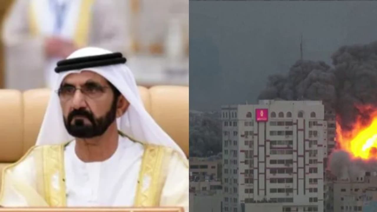 പലസ്തീന് 50മില്യൺ ദിർഹം സഹായം നൽകുമെന്ന് യുഎഇ, 'കംപാഷൻ ഫോർ ഗാസ' ദുരിതാശ്വാസ ക്യാമ്പയിനും തുടങ്ങും പലസ്തീന് 50മില്യൺ ദിർഹം സഹായം നൽകുമെന്ന് യുഎഇ, 'കംപാഷൻ ഫോർ ഗാസ' ദുരിതാശ്വാസ ക്യാമ്പയിനും തുടങ്ങും