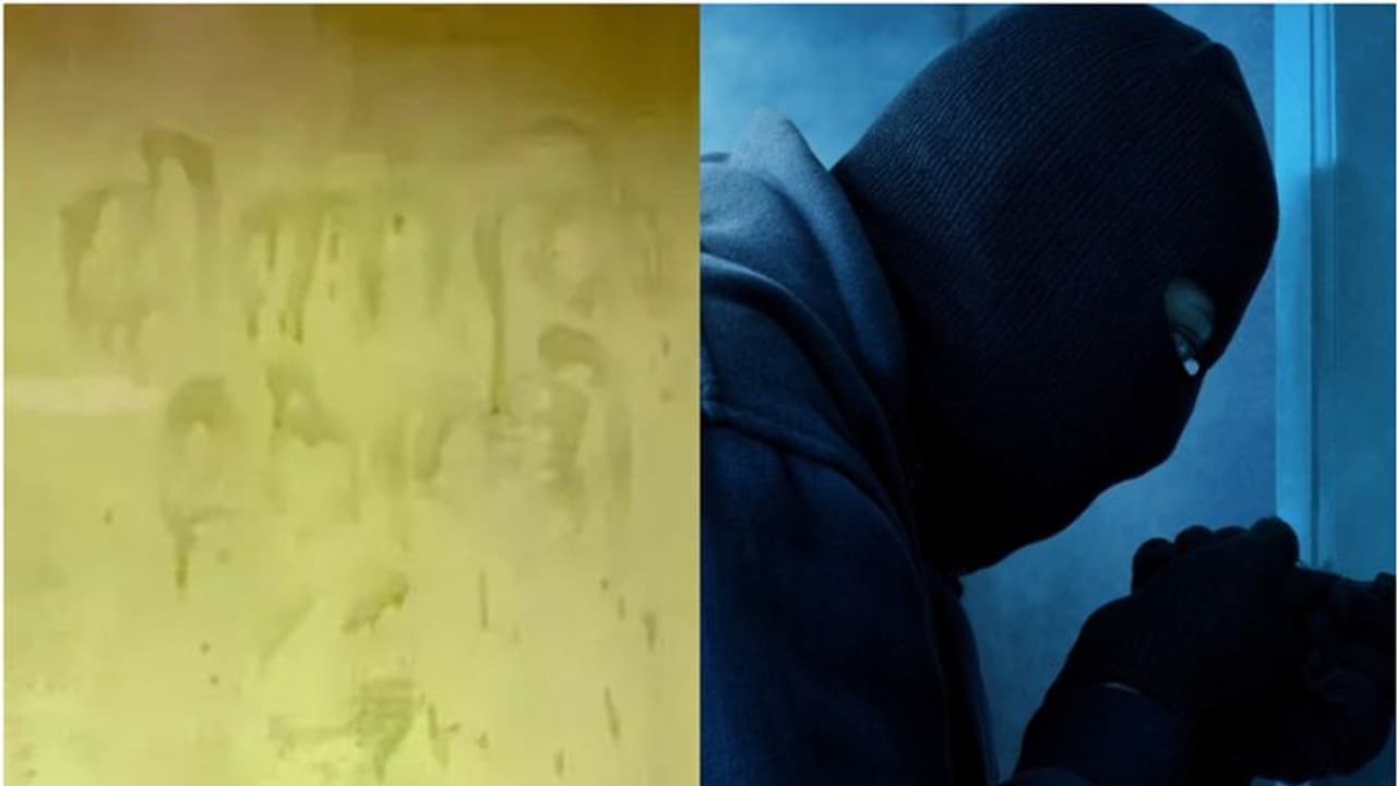 ക്ഷേത്രത്തിലെ വിലപിടിപ്പുള്ള പഞ്ചലോഹ വിഗ്രഹം കാണാനില്ല; ഭിത്തിയിൽ നെയ്യുകൊണ്ട് മിന്നല് മുരളി, തിരഞ്ഞ് പൊലീസ് ക്ഷേത്രത്തിലെ വിലപിടിപ്പുള്ള പഞ്ചലോഹ വിഗ്രഹം കാണാനില്ല; ഭിത്തിയിൽ നെയ്യുകൊണ്ട് മിന്നല് മുരളി, തിരഞ്ഞ് പൊലീസ്