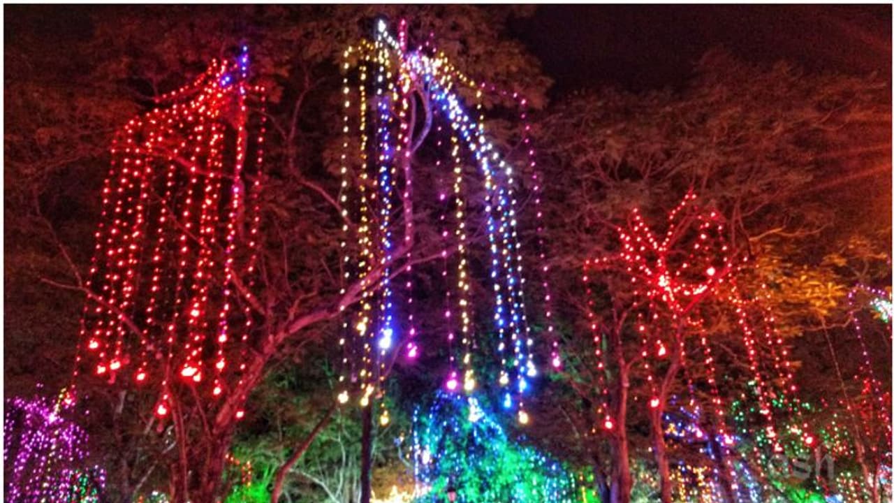 ലേസര് മാന് ഷോ, അള്ട്രാ വലയറ്റ് ഷോയടക്കം ആദ്യം! അനന്തപുരിയുടെ രാവുകള്ക്കിനി ദീപാലങ്കാര നിറച്ചാര്ത്ത് ലേസര് മാന് ഷോ, അള്ട്രാ വലയറ്റ് ഷോയടക്കം ആദ്യം! അനന്തപുരിയുടെ രാവുകള്ക്കിനി ദീപാലങ്കാര നിറച്ചാര്ത്ത്