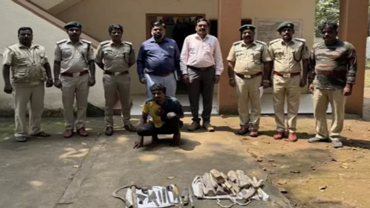 ಬೆಳಗಾವಿ: ಹುಲಿ ಬೇಟೆಯಾಡಿ ವಿದೇಶಕ್ಕೆ ಮಾರಾಟ ಮಾಡ್ತಿದ್ದ ಆರೋಪಿ ಸೆರೆ ಬೆಳಗಾವಿ: ಹುಲಿ ಬೇಟೆಯಾಡಿ ವಿದೇಶಕ್ಕೆ ಮಾರಾಟ ಮಾಡ್ತಿದ್ದ ಆರೋಪಿ ಸೆರೆ