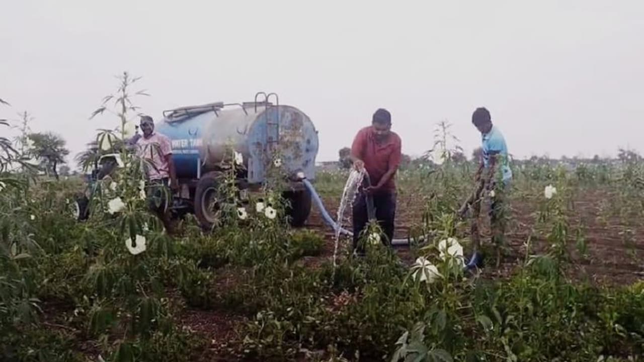 ಬರಸಿಡಿಲಿಗೆ ಕಂಗಾಲಾದ ಗುಮ್ಮಟನಗರಿ ಅನ್ನದಾತ: ಶೆಂಗಾ ಬೆಳೆ ಉಳಿಸಿಕೊಳ್ಳಲು ರೈತರ ಹರಸಾಹಸ! ಬರಸಿಡಿಲಿಗೆ ಕಂಗಾಲಾದ ಗುಮ್ಮಟನಗರಿ ಅನ್ನದಾತ: ಶೆಂಗಾ ಬೆಳೆ ಉಳಿಸಿಕೊಳ್ಳಲು ರೈತರ ಹರಸಾಹಸ!