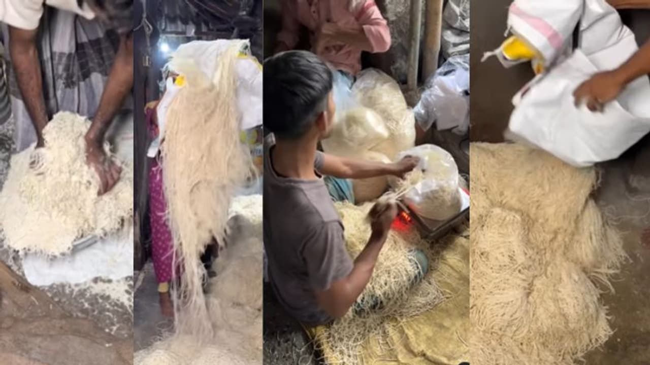 ഫാക്ടറിയില് നൂഡില്സ് തയ്യാറാക്കുന്ന ഈ വീഡിയോ കണ്ടാല്, അടുത്ത തവണ രണ്ടാമതൊന്ന് കൂടി ആലോചിക്കും! ഫാക്ടറിയില് നൂഡില്സ് തയ്യാറാക്കുന്ന ഈ വീഡിയോ കണ്ടാല്, അടുത്ത തവണ രണ്ടാമതൊന്ന് കൂടി ആലോചിക്കും!