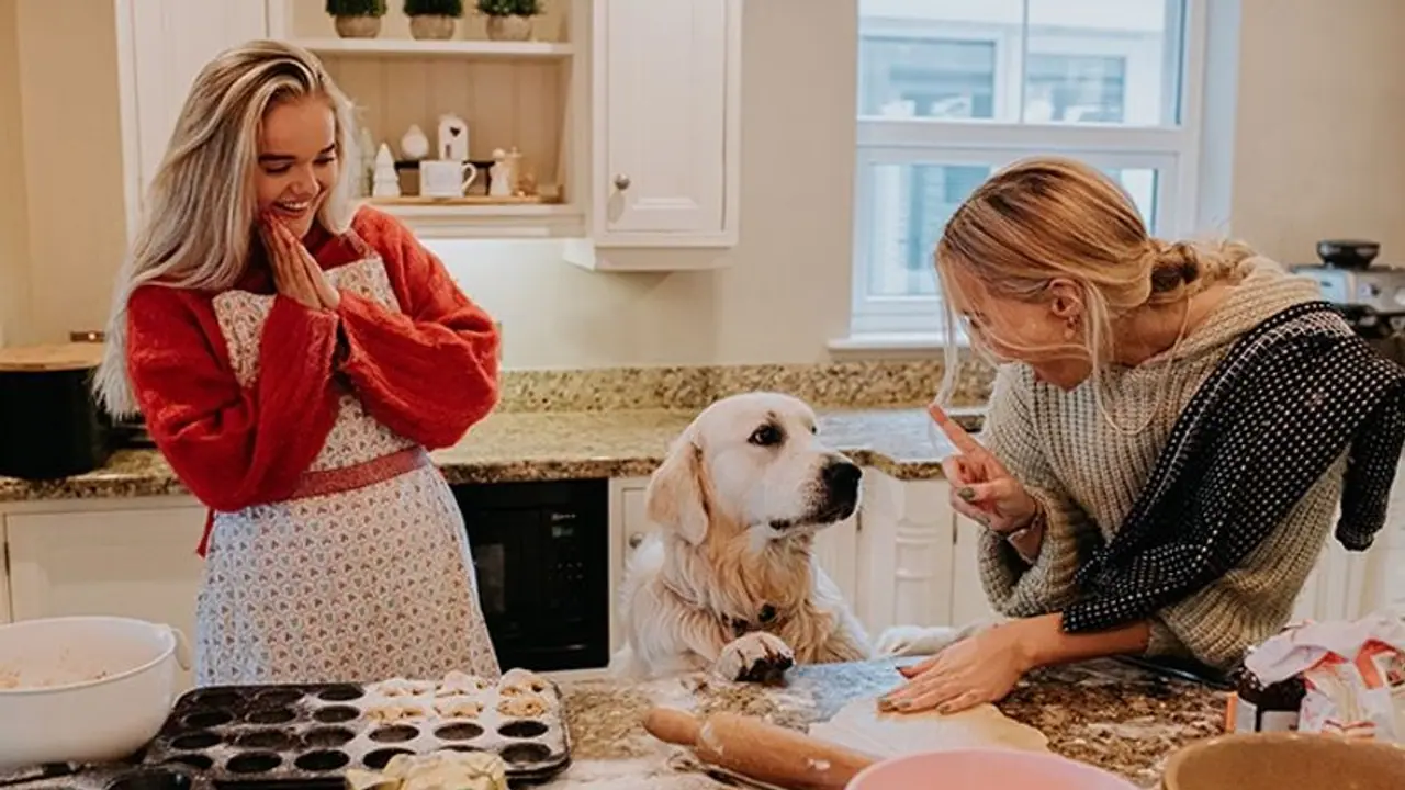 Navratri 2023: Special festive meals to keep your dog healthy 