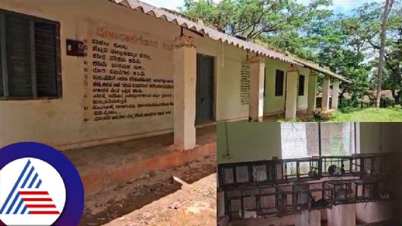 ಶಿರಸಿಯಲ್ಲಿ ಪಾಳು ಬಿದ್ದಿದೆ ರಾಜ್ಯದ ಪ್ರಥಮ ಮೊಲ ಸಾಕಾಣಿಕಾ ಕೇಂದ್ರ! 