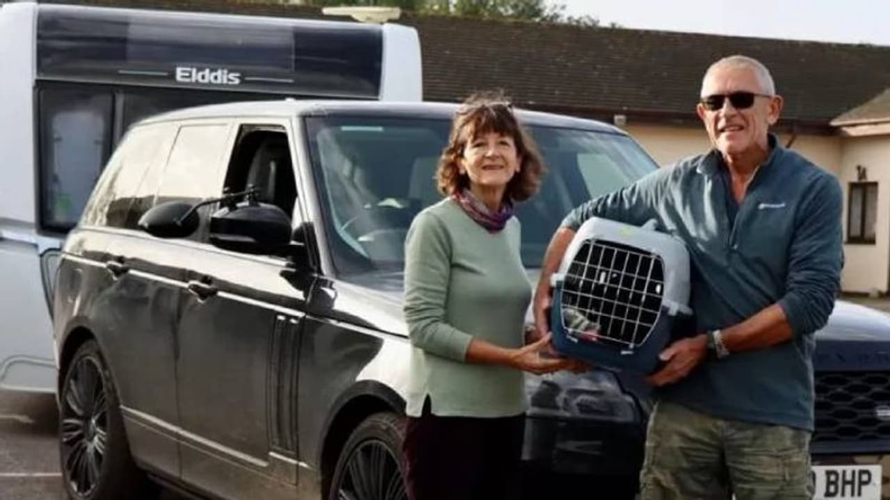 കാരവനിൽ ഒളിച്ചിരുന്നു, ദമ്പതികൾക്കൊപ്പം അവധിക്കാലമാഘോഷിക്കാൻ പോയി പൂച്ച, സഞ്ചരിച്ചത് 439 കിമി! കാരവനിൽ ഒളിച്ചിരുന്നു, ദമ്പതികൾക്കൊപ്പം അവധിക്കാലമാഘോഷിക്കാൻ പോയി പൂച്ച, സഞ്ചരിച്ചത് 439 കിമി!