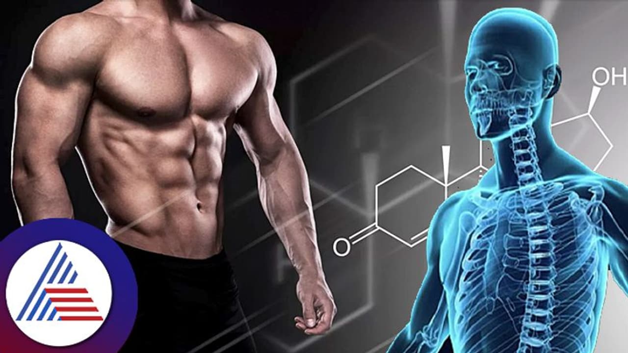 ನಿಮಗೇ ಗೊತ್ತಿಲ್ಲದ ನಿಮ್ಮ ದೇಹದಲ್ಲಿ ರಕ್ತ ಚಲಿಸುವ ದೂರ, ಅಮೆರಿಕಕ್ಕೆ ನಾಲ್ಕು ಸುತ್ತು ಬಂದಷ್ಟು! ನಿಮಗೇ ಗೊತ್ತಿಲ್ಲದ ನಿಮ್ಮ ದೇಹದಲ್ಲಿ ರಕ್ತ ಚಲಿಸುವ ದೂರ, ಅಮೆರಿಕಕ್ಕೆ ನಾಲ್ಕು ಸುತ್ತು ಬಂದಷ್ಟು!