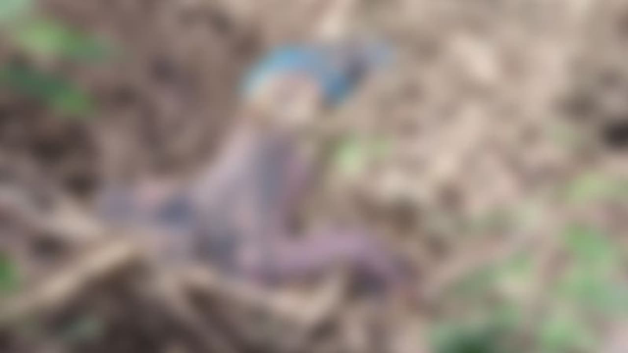  ആറന്മുള സത്രക്കടവിൽ രണ്ടാഴ്ച പഴകിയ മൃതദേഹം, കാണാതായ 23കാരന്റേതെന്ന് സംശയം