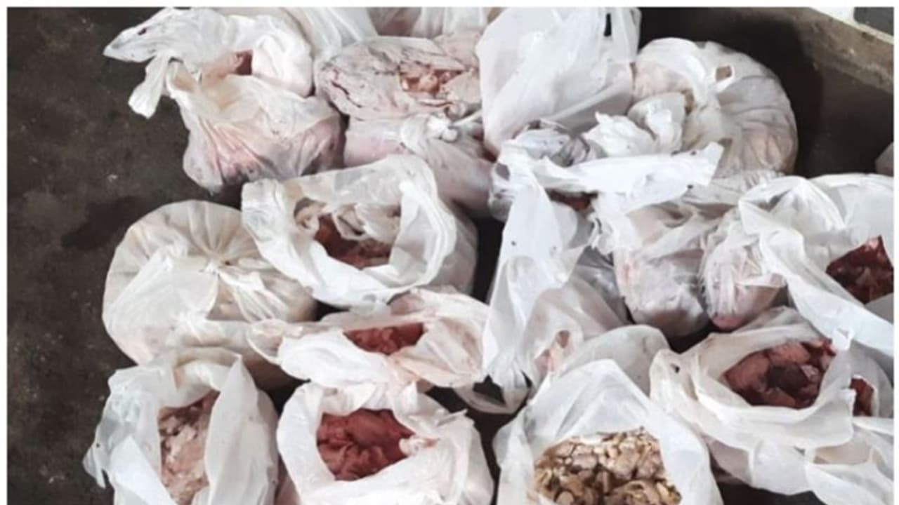 ഇതാദ്യമല്ല, പിഴ ചുമത്തിയിട്ടും വീണ്ടും വീണ്ടും ആവർത്തിക്കുന്ന കുറ്റം; തൃശൂരിൽ പിടിച്ചത് 25 കിലോ പഴകിയ മാംസം! ഇതാദ്യമല്ല, പിഴ ചുമത്തിയിട്ടും വീണ്ടും വീണ്ടും ആവർത്തിക്കുന്ന കുറ്റം; തൃശൂരിൽ പിടിച്ചത് 25 കിലോ പഴകിയ മാംസം!