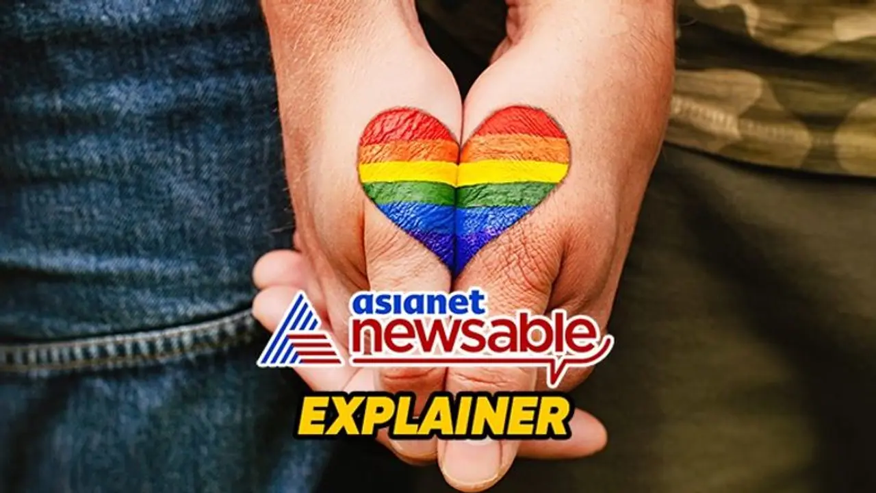 SC's verdict on same sex marriage and adoption rights: Delving into the implications